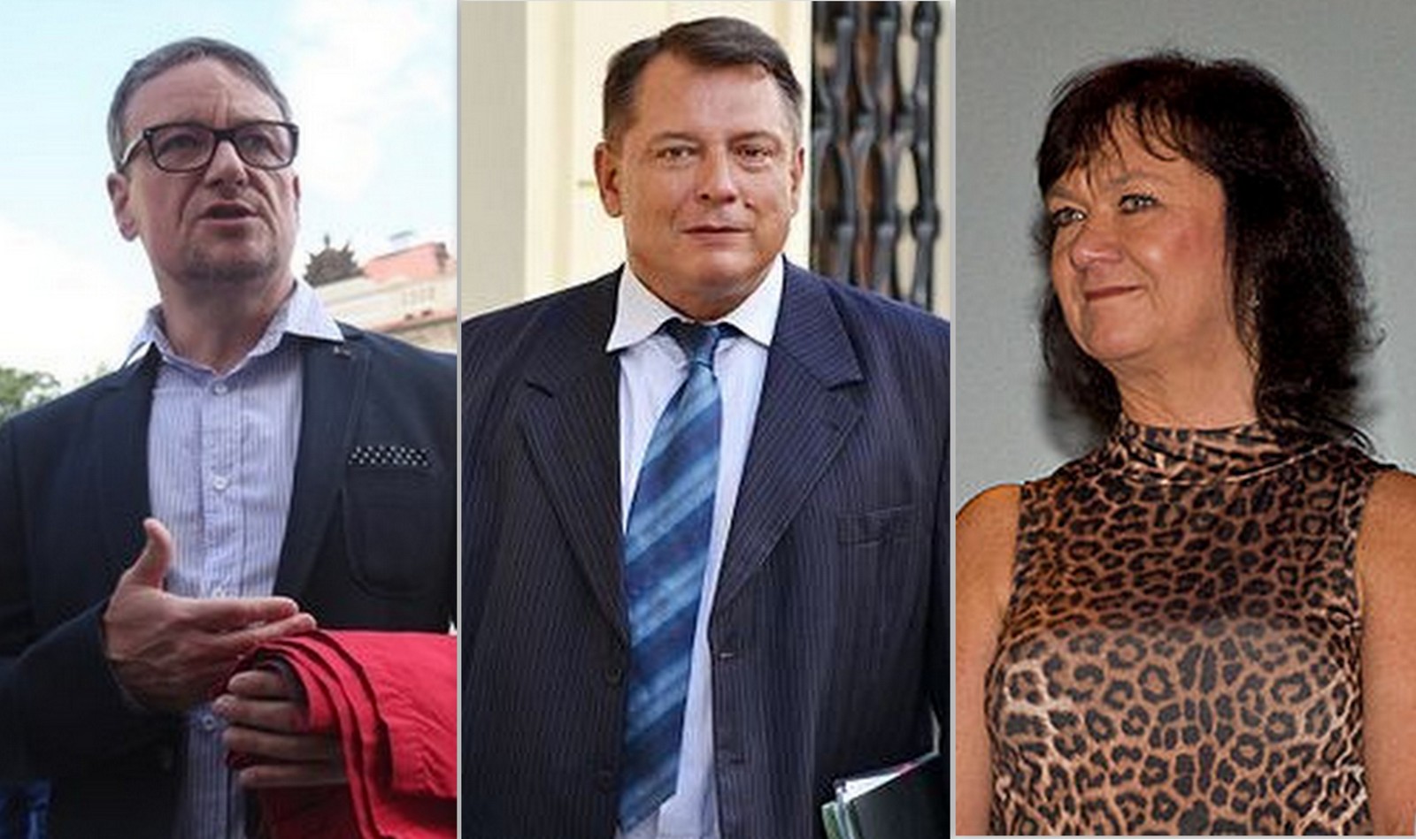 Rudá Marta, Paroubek a další fosílie letošních senátních voleb, na ...