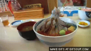soy-sauce-on-a-dead-squid-o