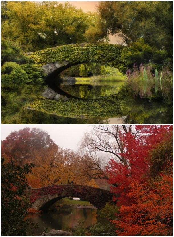 Gapstow Bridge, New York, USA