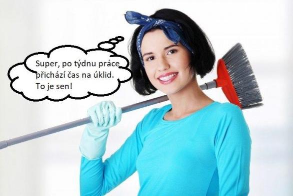 Po vánočním veselí přichází povánoční úklid. Další ženami milovaná disciplína!