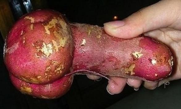Penis se skvrnami