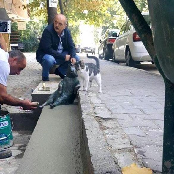 Animální skulptura byla oficiálně odhalena 4. října na Světový den zvířat