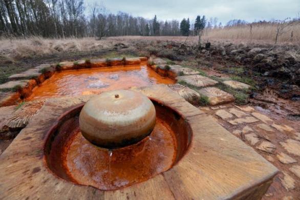 Přírodní rezervace SOOS s tzv. bahenními sopkami – vývěry čistého oxidu uhličitého a minerálních vod. Něco jako český Yellowstone.