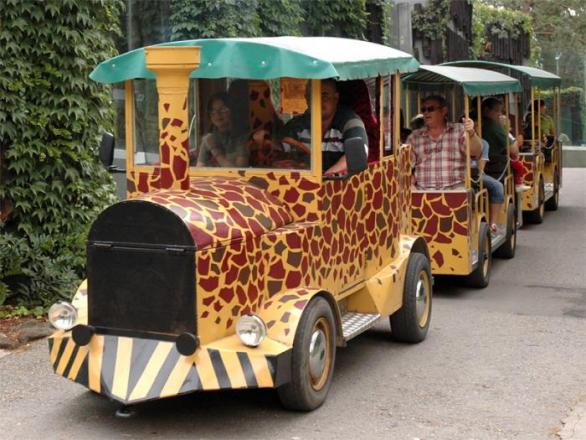 Jízda do kardiovaskulárních pekel v &quot;safari-vláčku&quot; olomoucké ZOO 