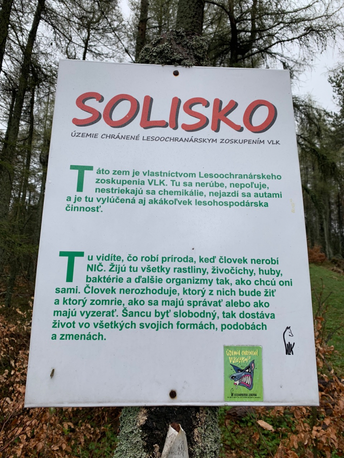 Nedělat nic někdy neznamená být líný, ale chytrý