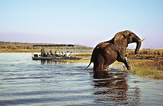 Národní park Chobe, Botswana – největší populace slonů v Africe (až 60 tisíc), profesionálně dělané safari, nejlepší v suché sezoně od června do listopadu.