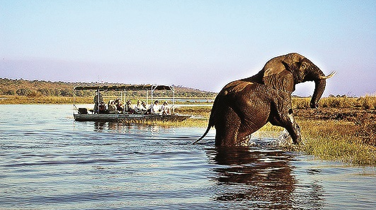 Národní park Chobe, Botswana – největší populace slonů v Africe (až 60 tisíc), profesionálně dělané safari, nejlepší v suché sezoně od června do listopadu.