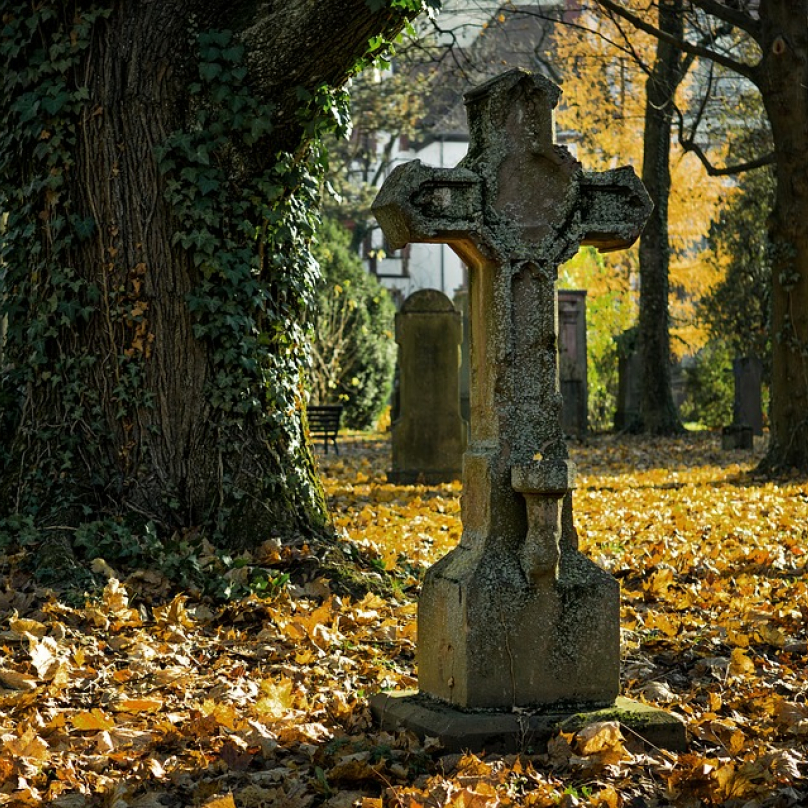 První manžel Kataríny zemřel na souchotiny.