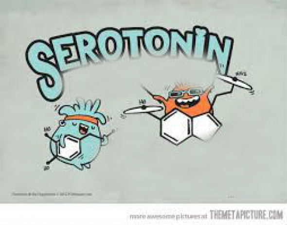 Serotonin