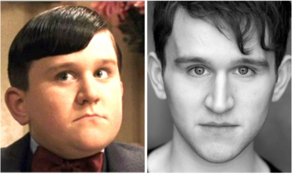 Dudley Dursley alias Harry Melling