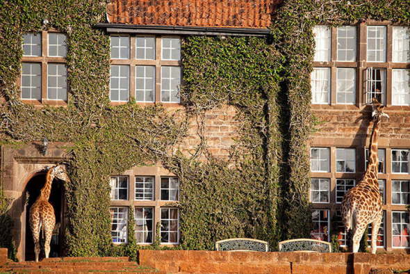 Giraffe Manor, Keňa