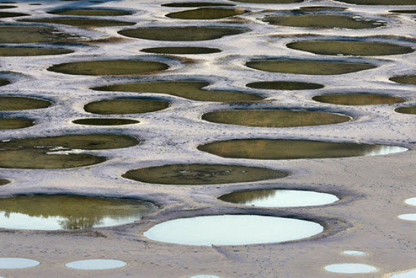 Minerální kruhy na kanadském Spotted Lake